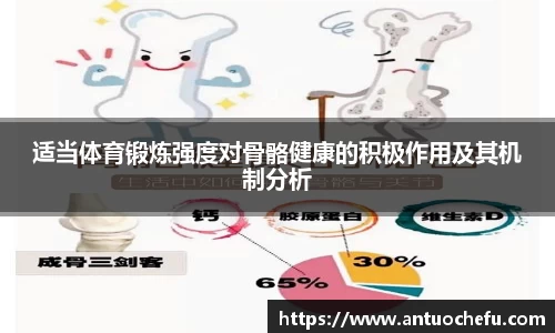 适当体育锻炼强度对骨骼健康的积极作用及其机制分析